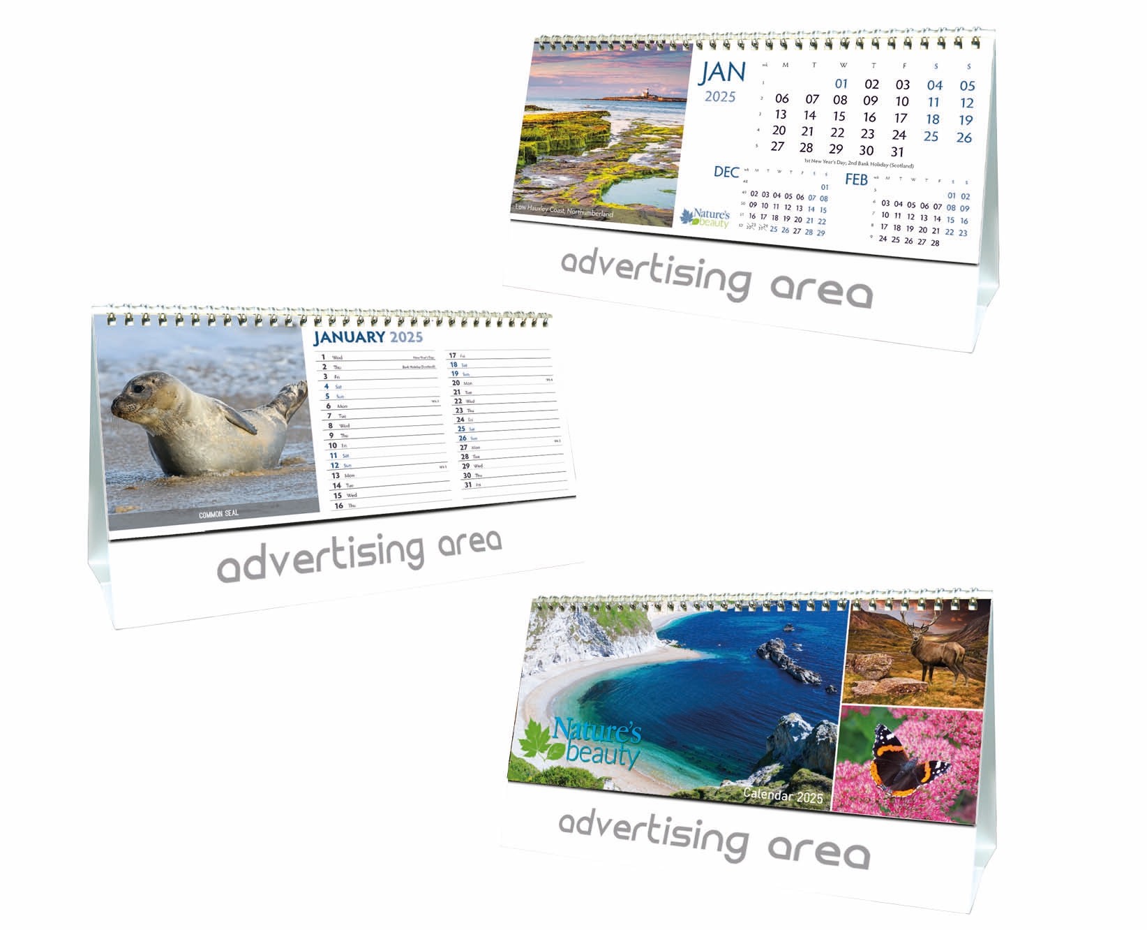 Nature's Beauty Desk Calendar 2025 Think Promote