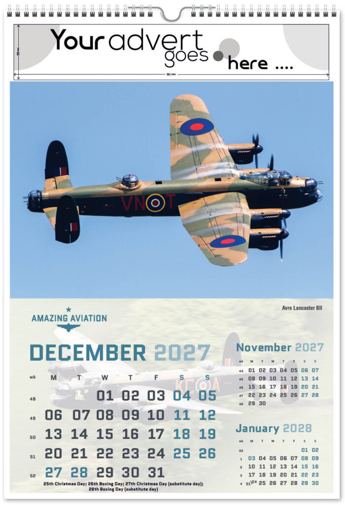 amazing-aviation-portrait-2027-12