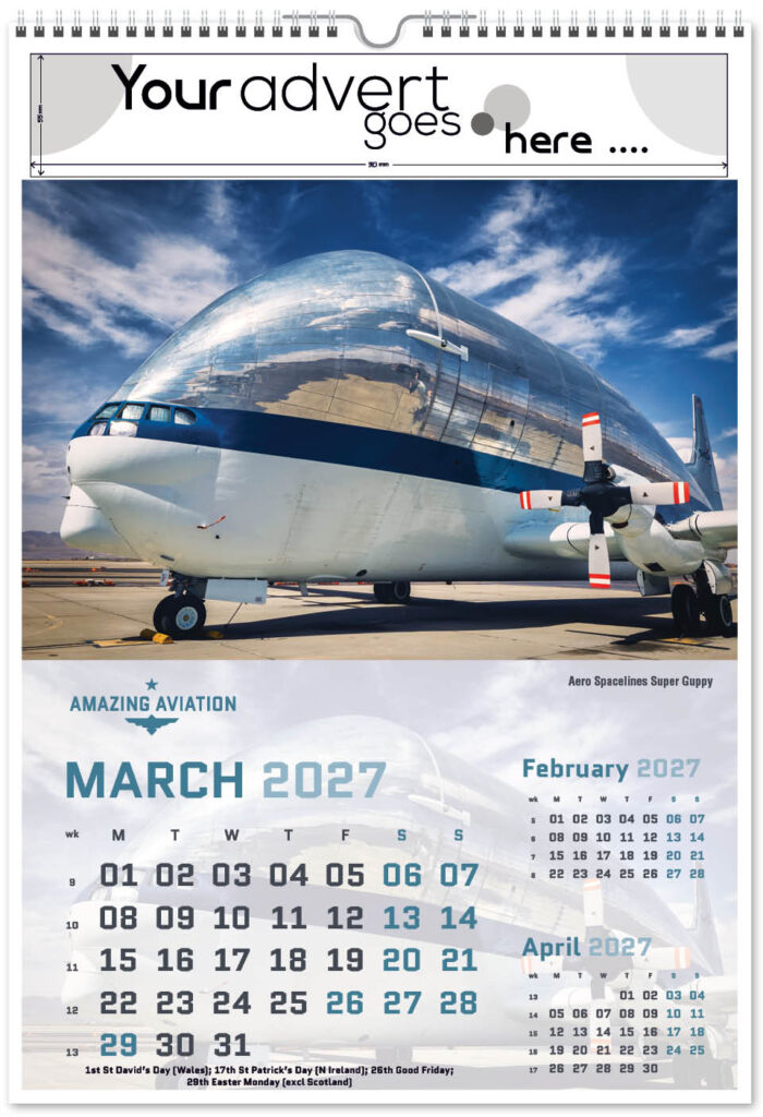 amazing-aviation-portrait-2027-3