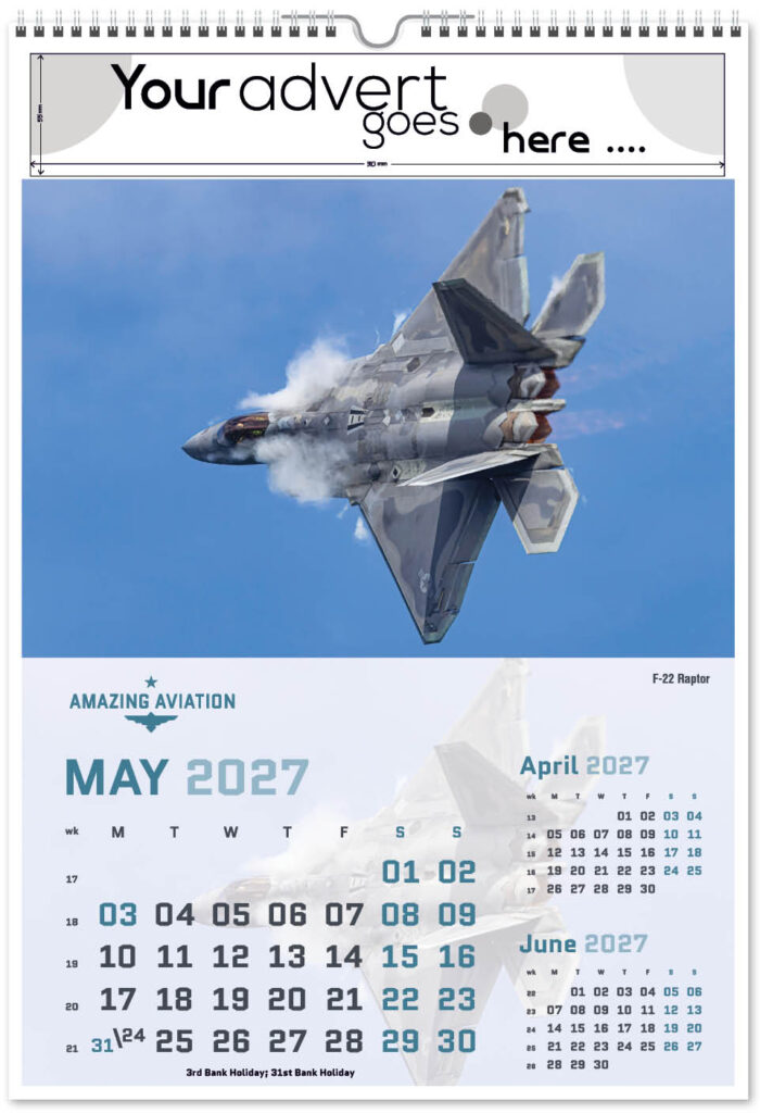 amazing-aviation-portrait-2027-5