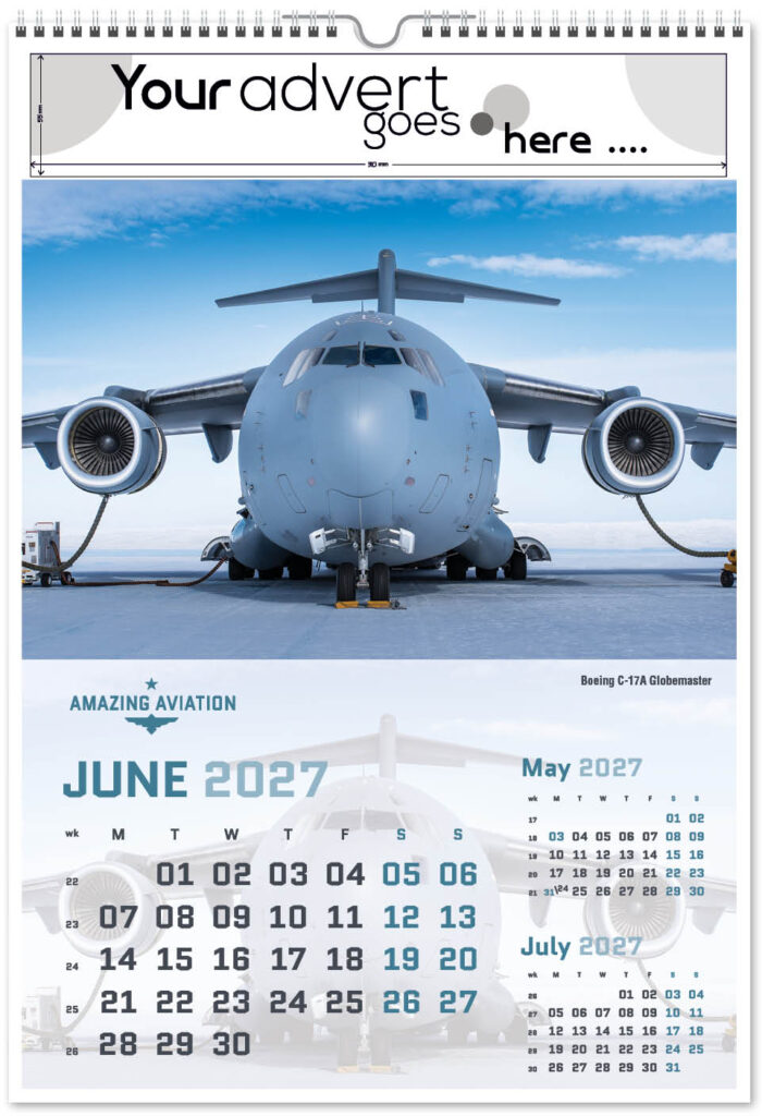 amazing-aviation-portrait-2027-6