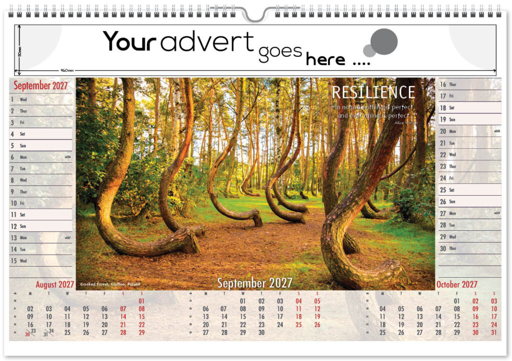 inspire-landscape-2027-9