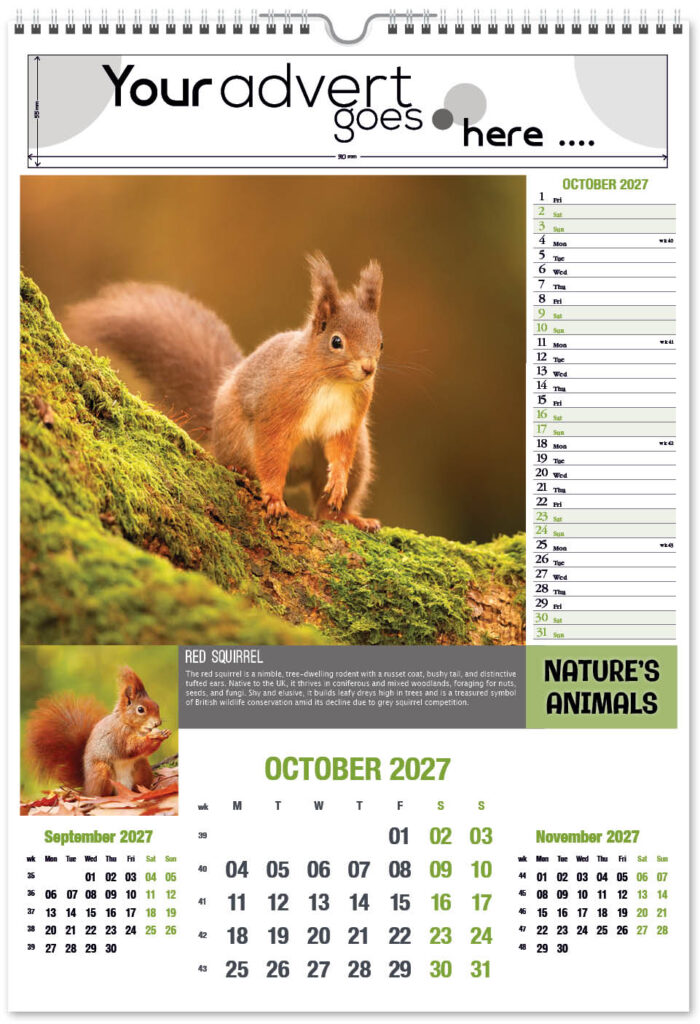 natures-animals-portrait-2027-10