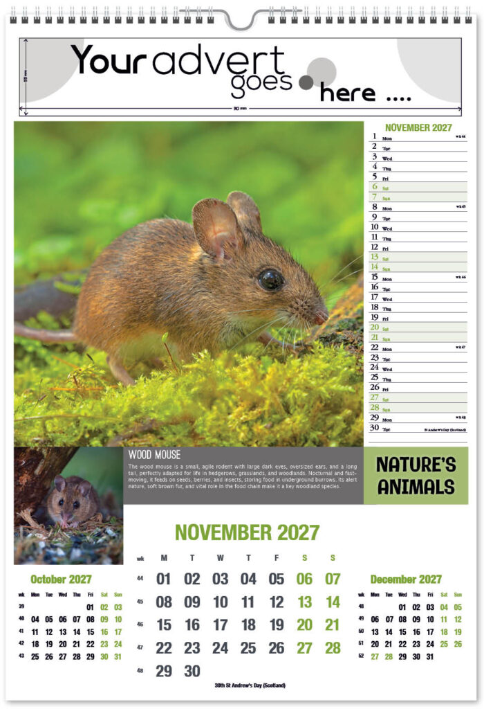 natures-animals-portrait-2027-11