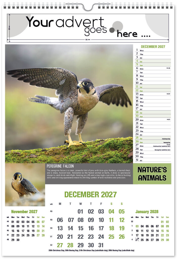 natures-animals-portrait-2027-12