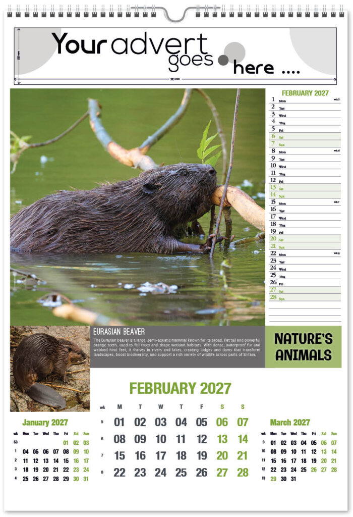 natures-animals-portrait-2027-2