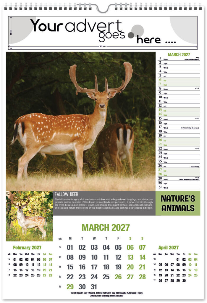 natures-animals-portrait-2027-3