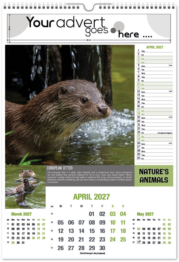 natures-animals-portrait-2027-4