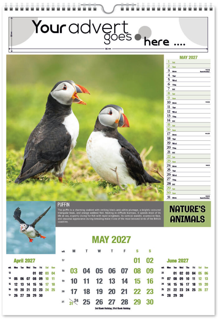 natures-animals-portrait-2027-5