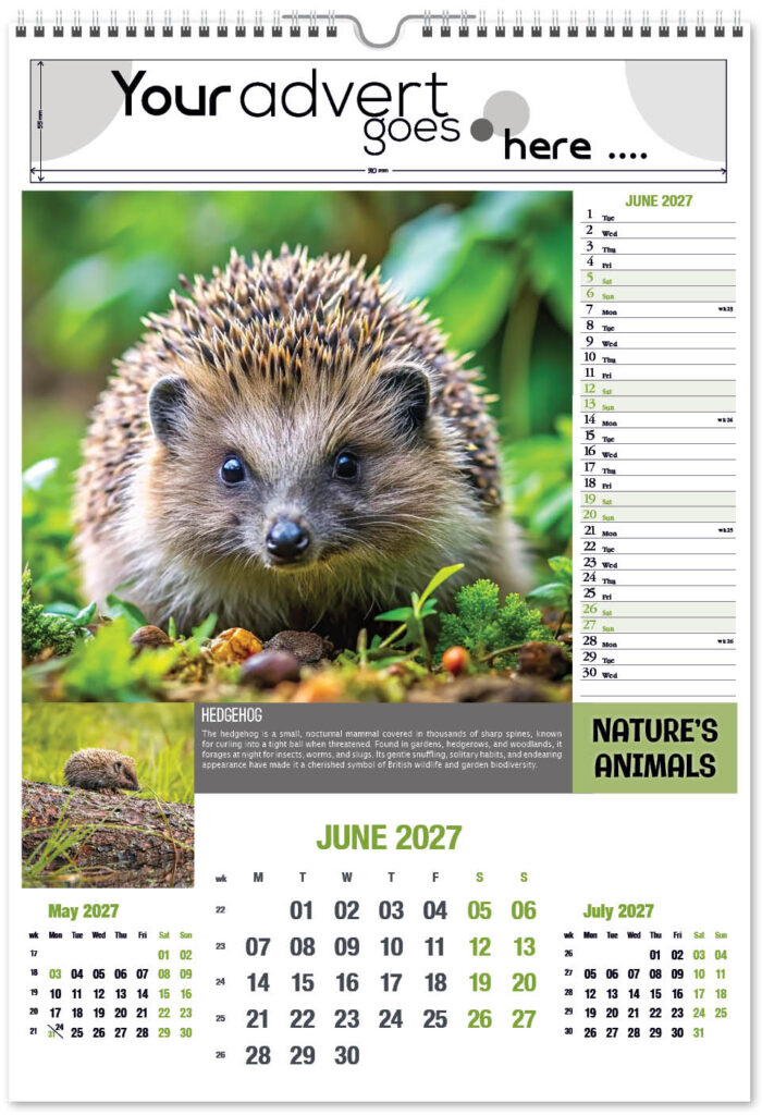 natures-animals-portrait-2027-6