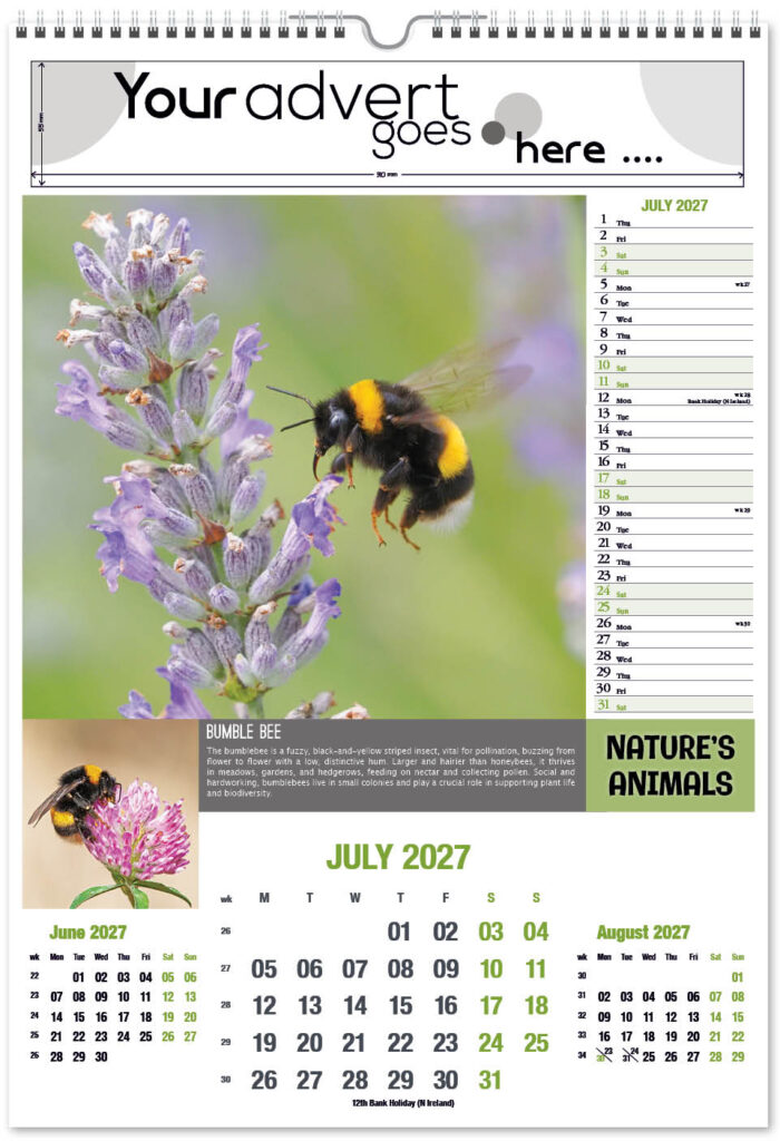 natures-animals-portrait-2027-7