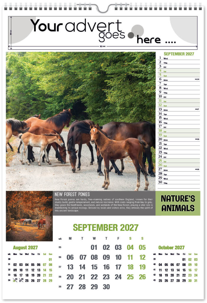 natures-animals-portrait-2027-9