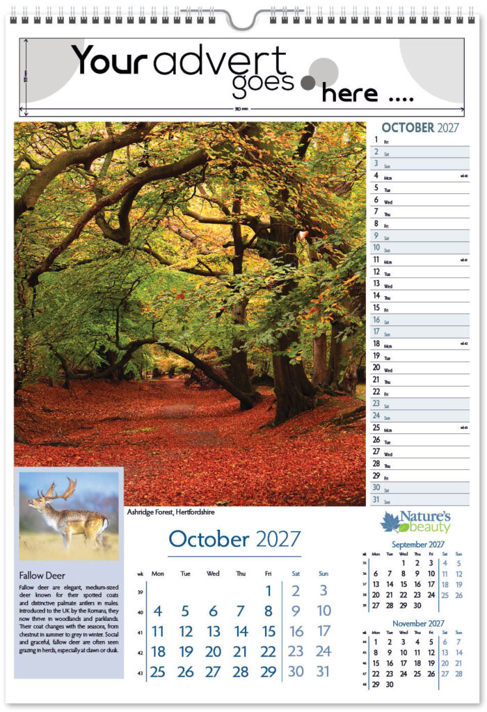 natures-beauty-portrait-2027-10