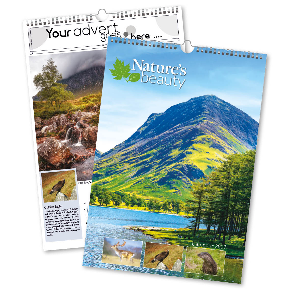 Nature’s Beauty Wall Calendar