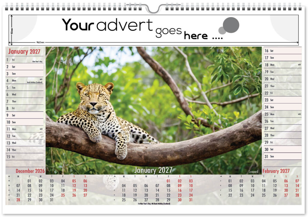 roam-free-landscape-2027-1