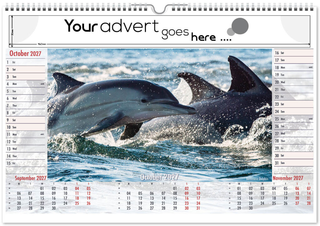 roam-free-landscape-2027-10