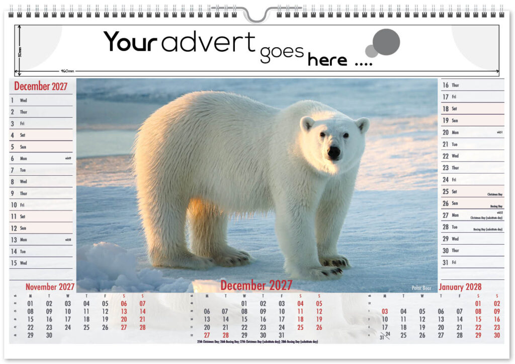 roam-free-landscape-2027-12