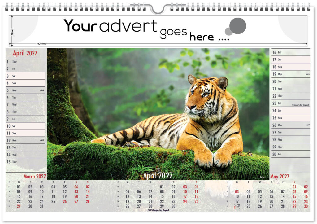 roam-free-landscape-2027-4