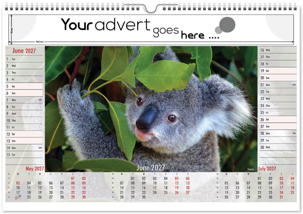 roam-free-landscape-2027-6