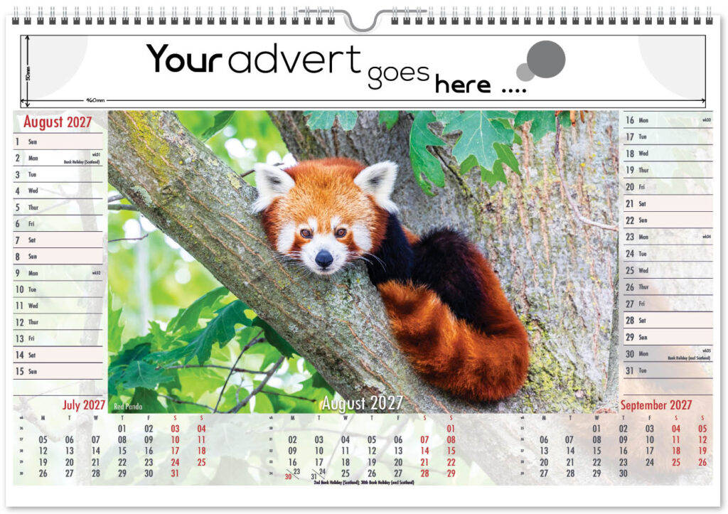 roam-free-landscape-2027-8