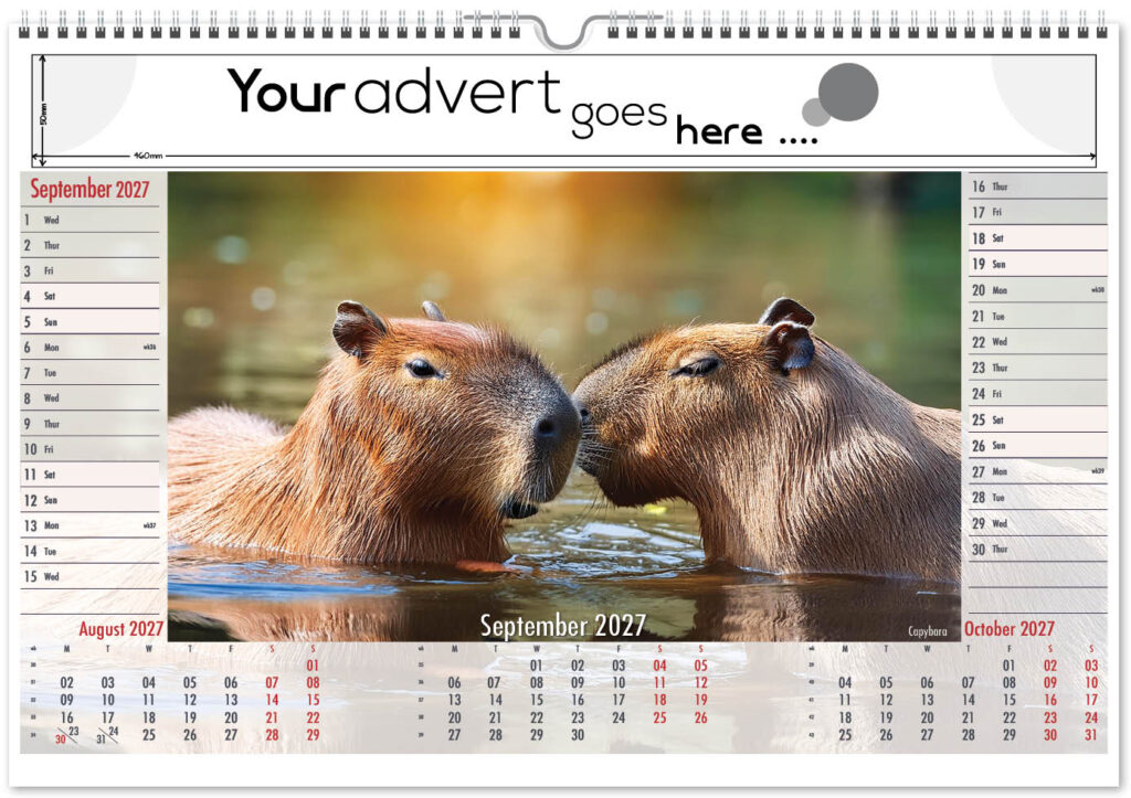 roam-free-landscape-2027-9