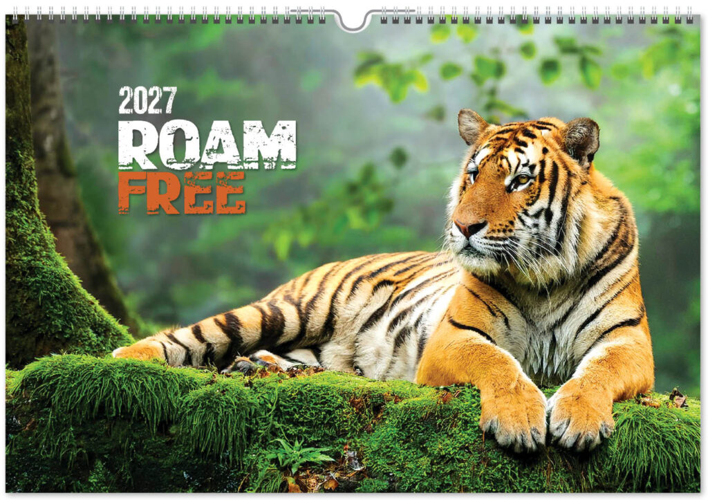 roam-free-landscape-2027-cover