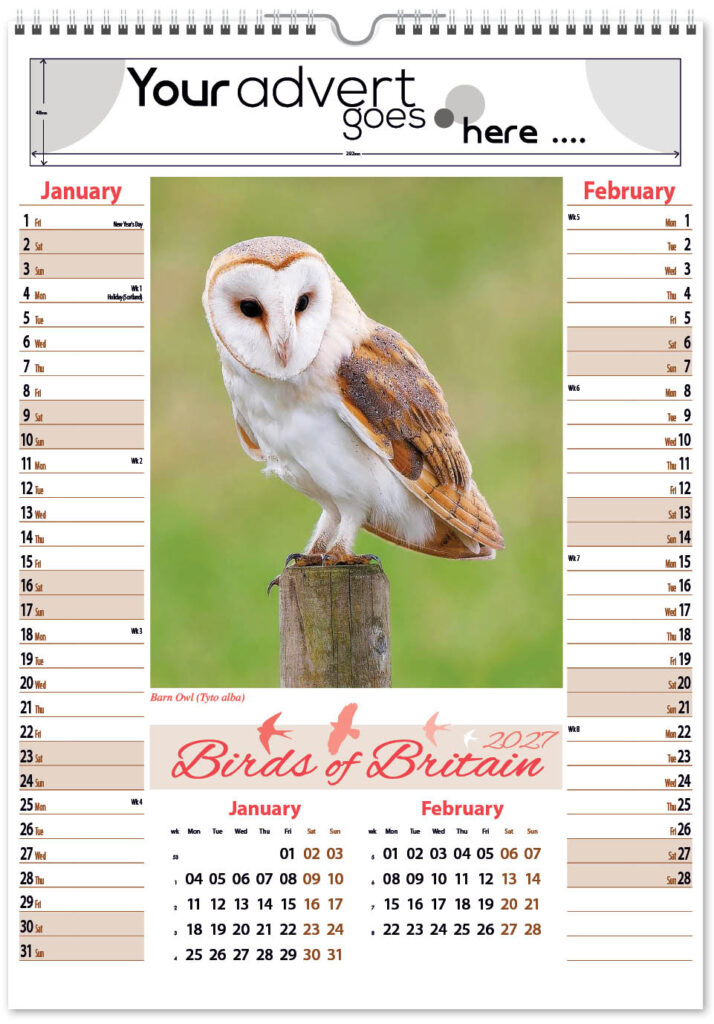 birds-of-britain-pic-memo-2027-1