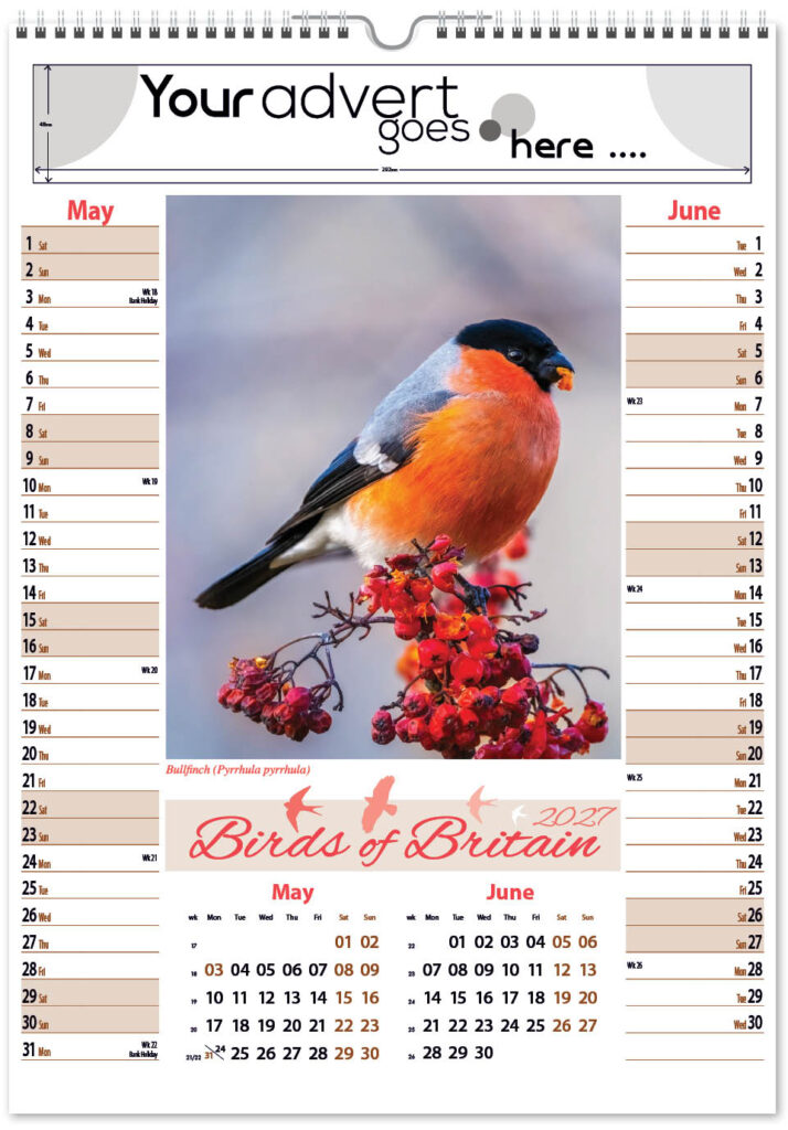 birds-of-britain-pic-memo-2027-3