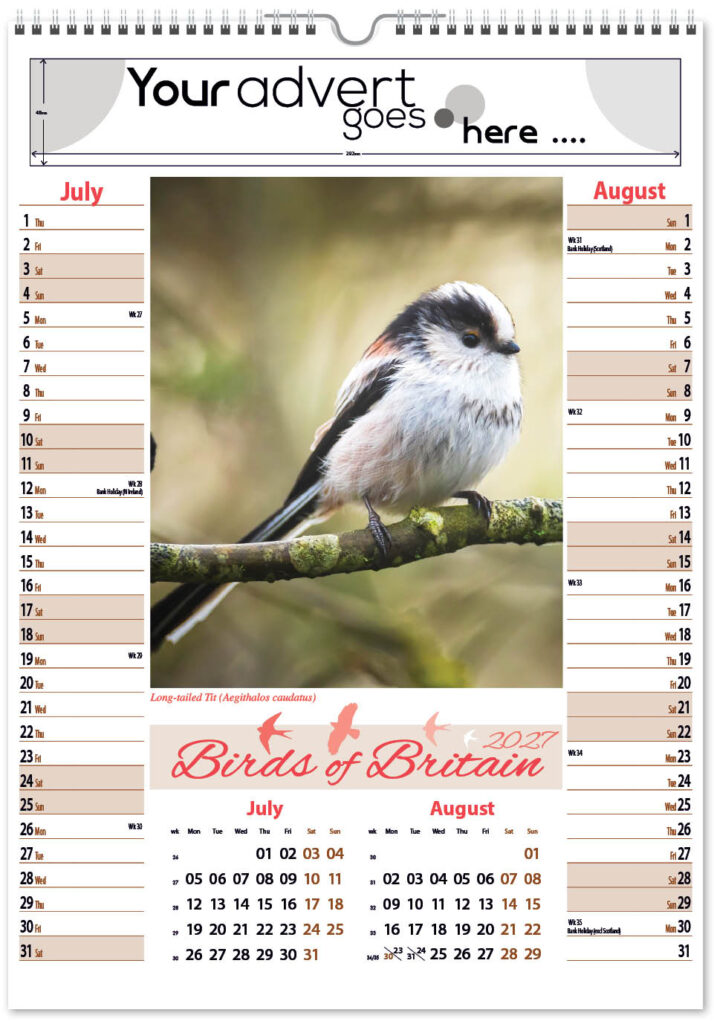 birds-of-britain-pic-memo-2027-4