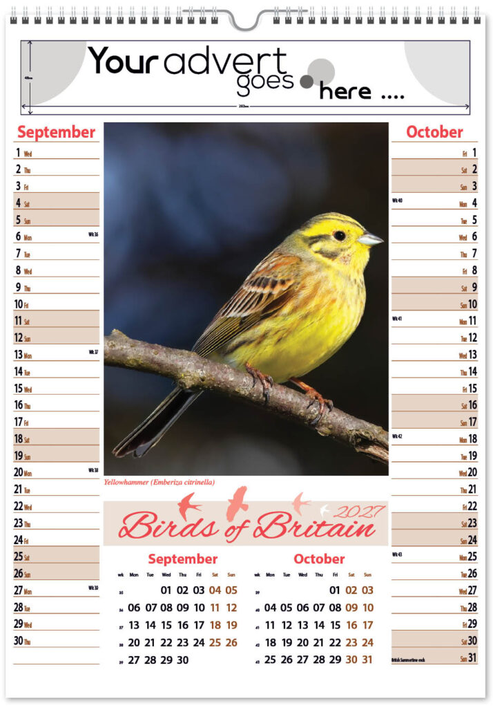 birds-of-britain-pic-memo-2027-5