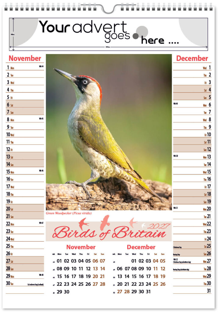 birds-of-britain-pic-memo-2027-6