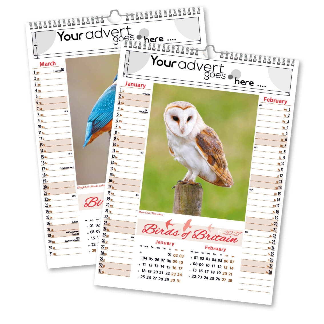 Birds of Britain Memo Wall Calendar