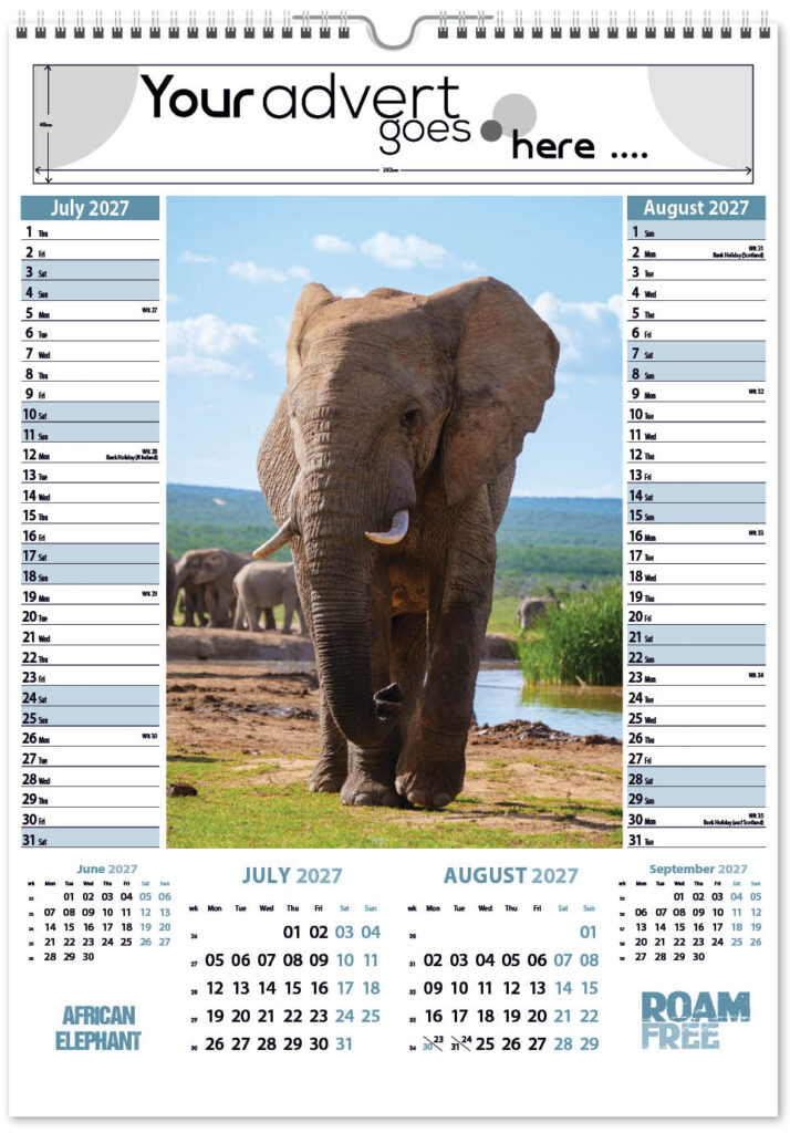 roam-free-pic-memo-2027-4