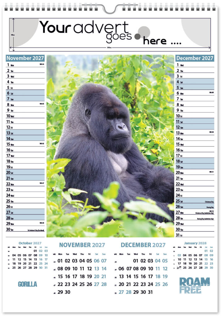 roam-free-pic-memo-2027-6