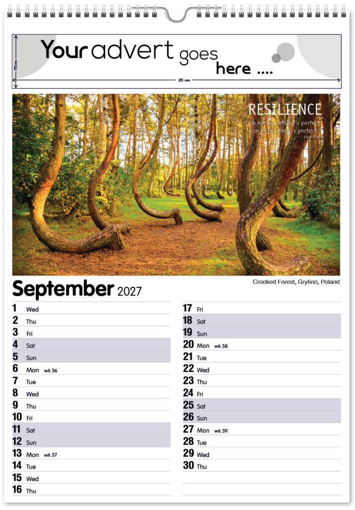 inspire-mini-memo-13l-2027-9