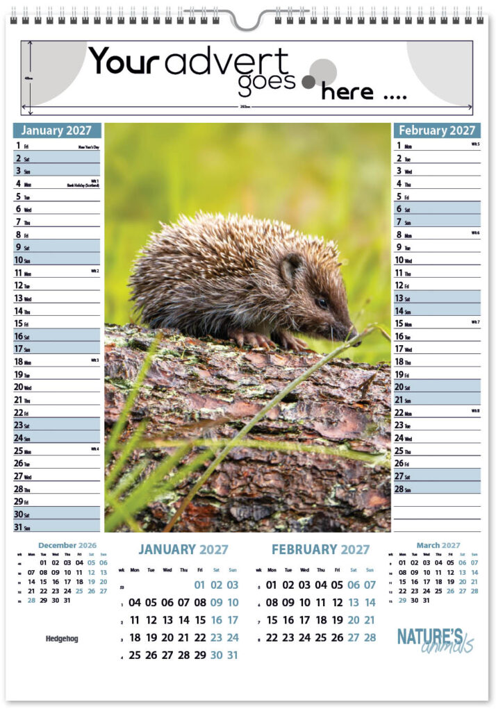 natures-animals-pic-memo-2027-1