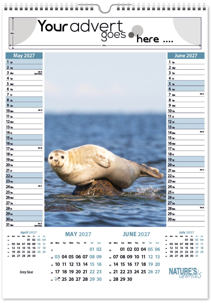 natures-animals-pic-memo-2027-3