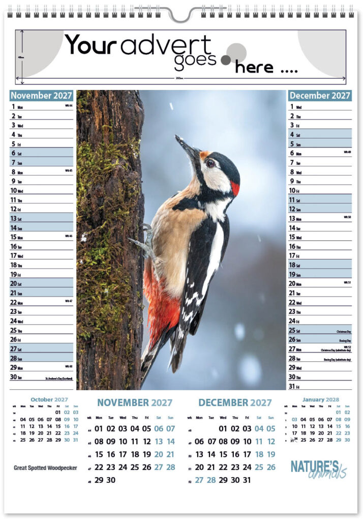 natures-animals-pic-memo-2027-6