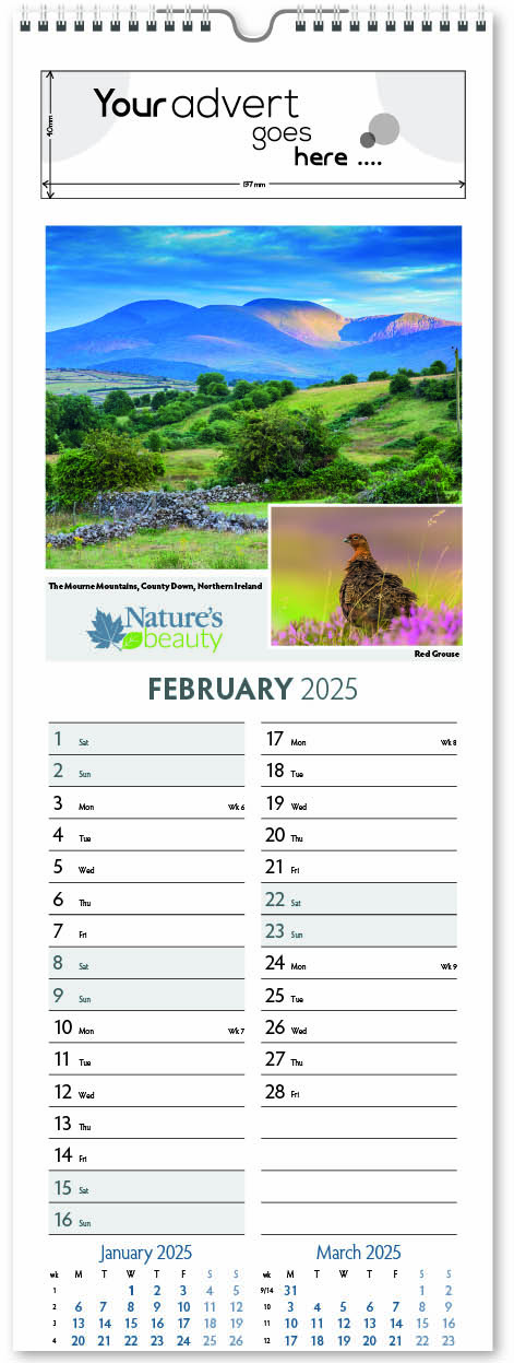 Nature's Beauty Slimline Wall Calendar 2025 - Think Promote