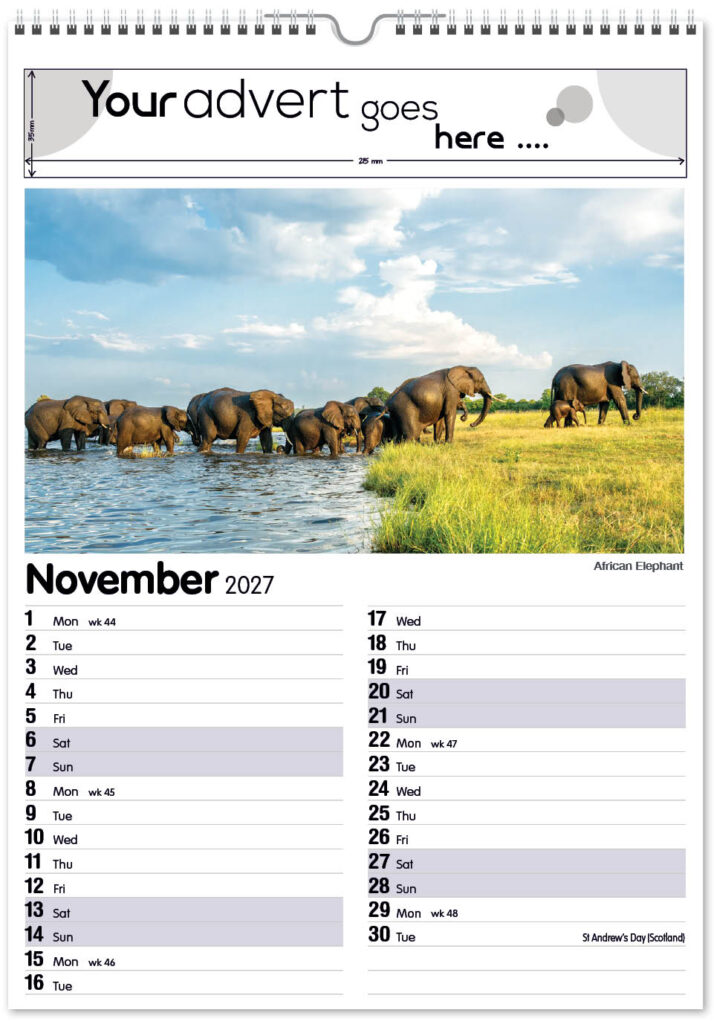 roam-free-mini-memo-13l-2027-11