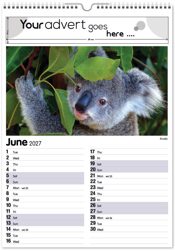 roam-free-mini-memo-13l-2027-6