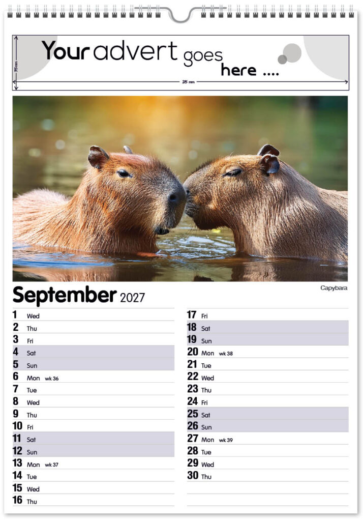 roam-free-mini-memo-13l-2027-9