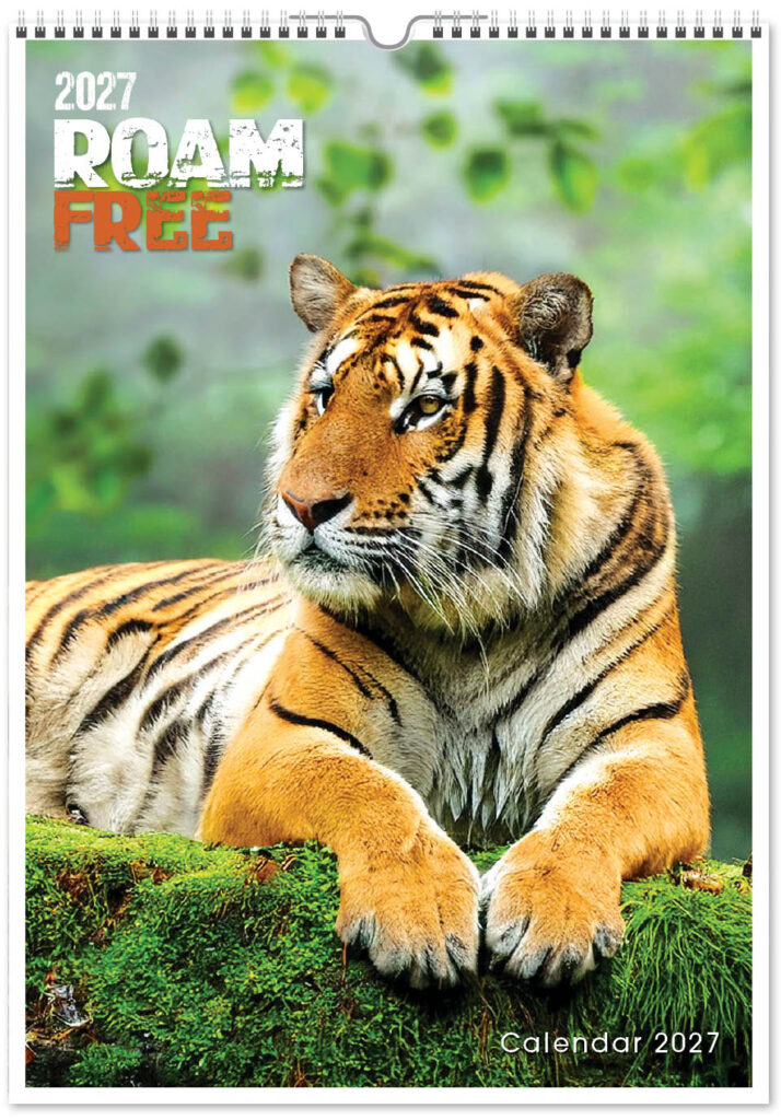 roam-free-mini-memo-13l-2027-cover