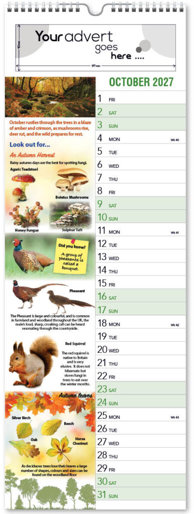 watching-nature-slim-2027-10