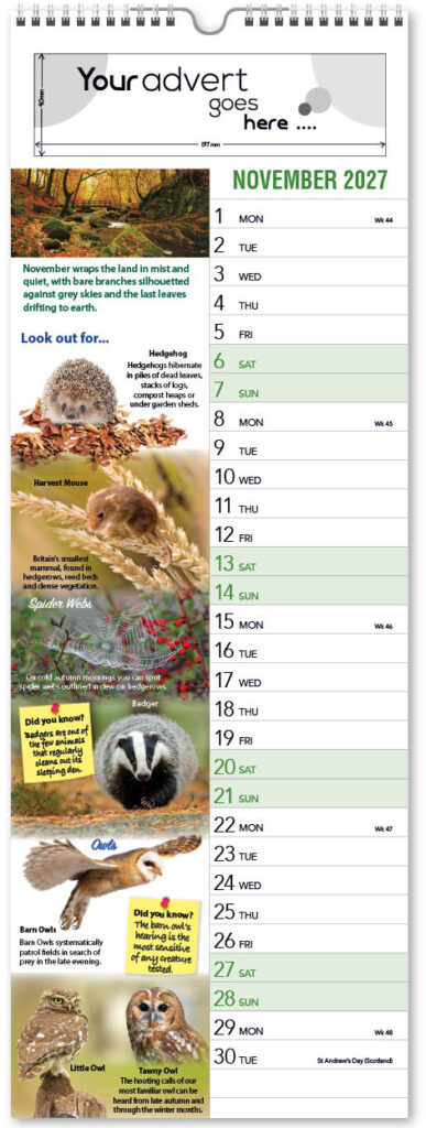 watching-nature-slim-2027-11