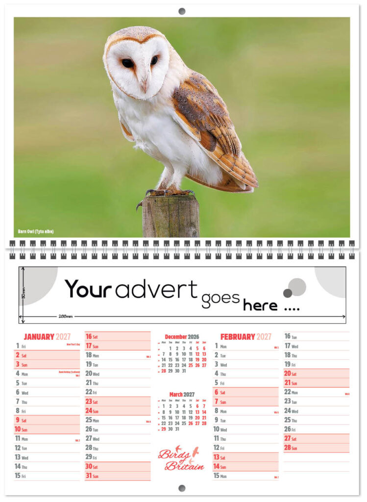 birds-of-britain-central-wiro-7l-2027-1