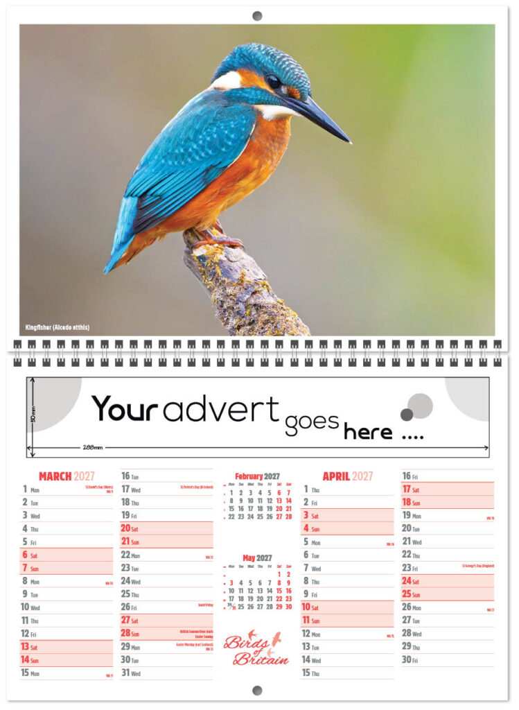 birds-of-britain-central-wiro-7l-2027-2