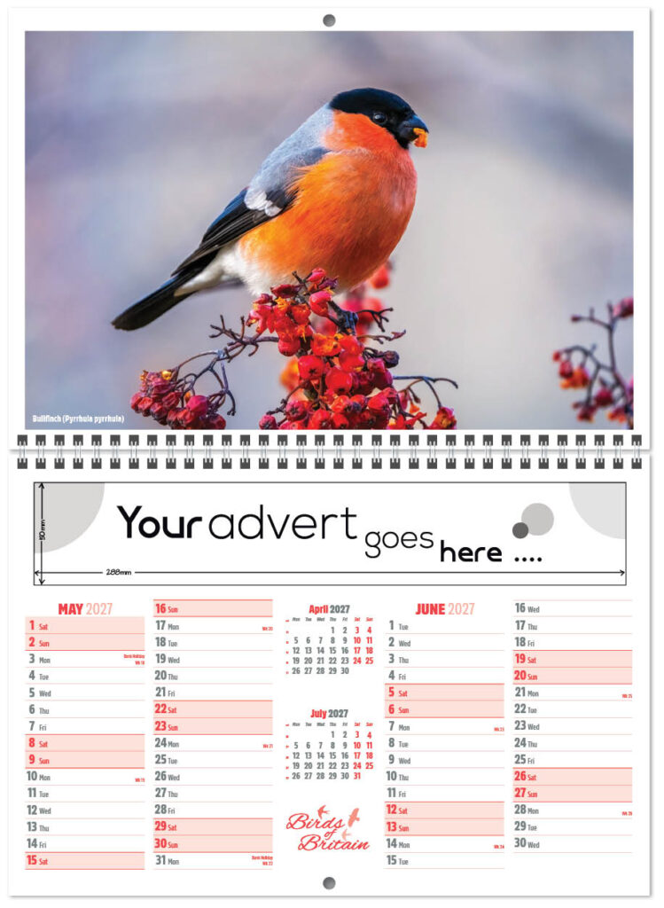 birds-of-britain-central-wiro-7l-2027-3