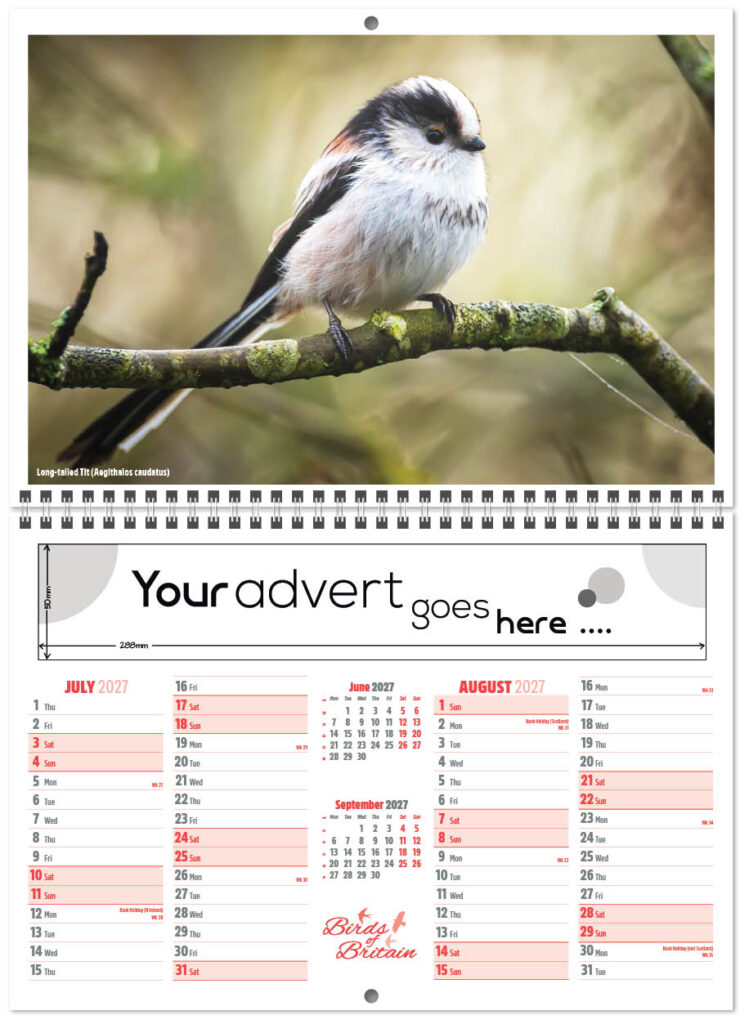 birds-of-britain-central-wiro-7l-2027-4