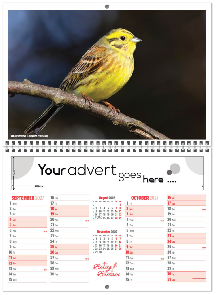 birds-of-britain-central-wiro-7l-2027-5